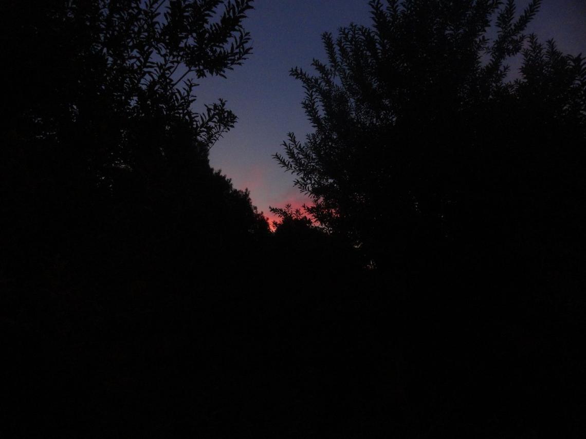 picture by @librenau from sunset in bariloche