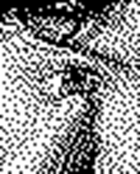layer gif